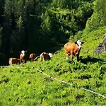 Ferienwohnung Bauernhof Obererlach *