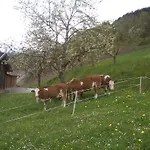 Ferienwohnung Bauernhof Obererlach * Bramberg am Wildkogel