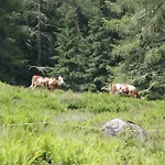 Ferienwohnung Bauernhof Obererlach Apartament Bramberg am Wildkogel