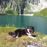 Ferienwohnung Bauernhof Obererlach Bramberg am Wildkogel