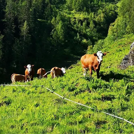Ferienwohnung Bauernhof Obererlach *