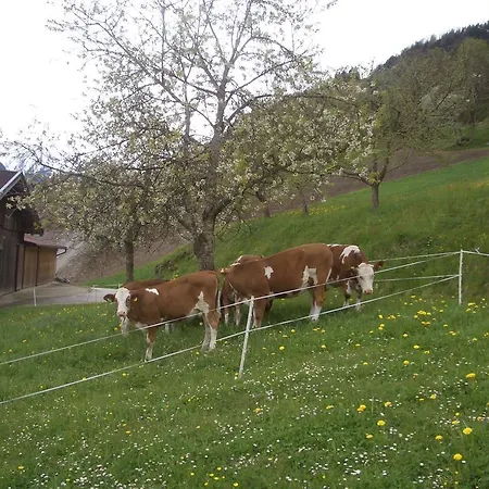 Ferienwohnung Bauernhof Obererlach * Bramberg am Wildkogel