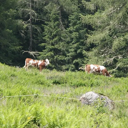 Ferienwohnung Bauernhof Obererlach Appartamento Bramberg am Wildkogel