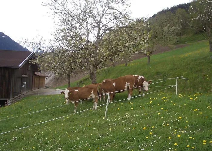 Ferienwohnung Bauernhof Obererlach * Bramberg am Wildkogel