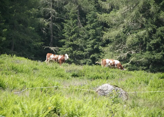Ferienwohnung Bauernhof Obererlach Appartamento Bramberg am Wildkogel