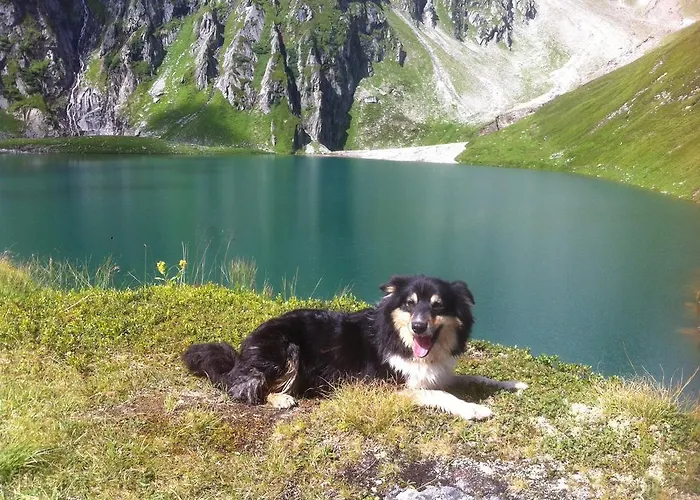 Ferienwohnung Bauernhof Obererlach Bramberg am Wildkogel